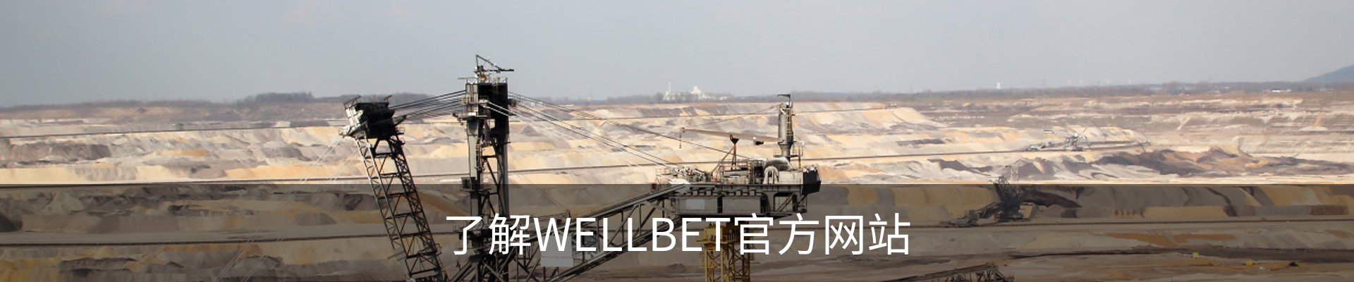 了解WELLBET官方网站